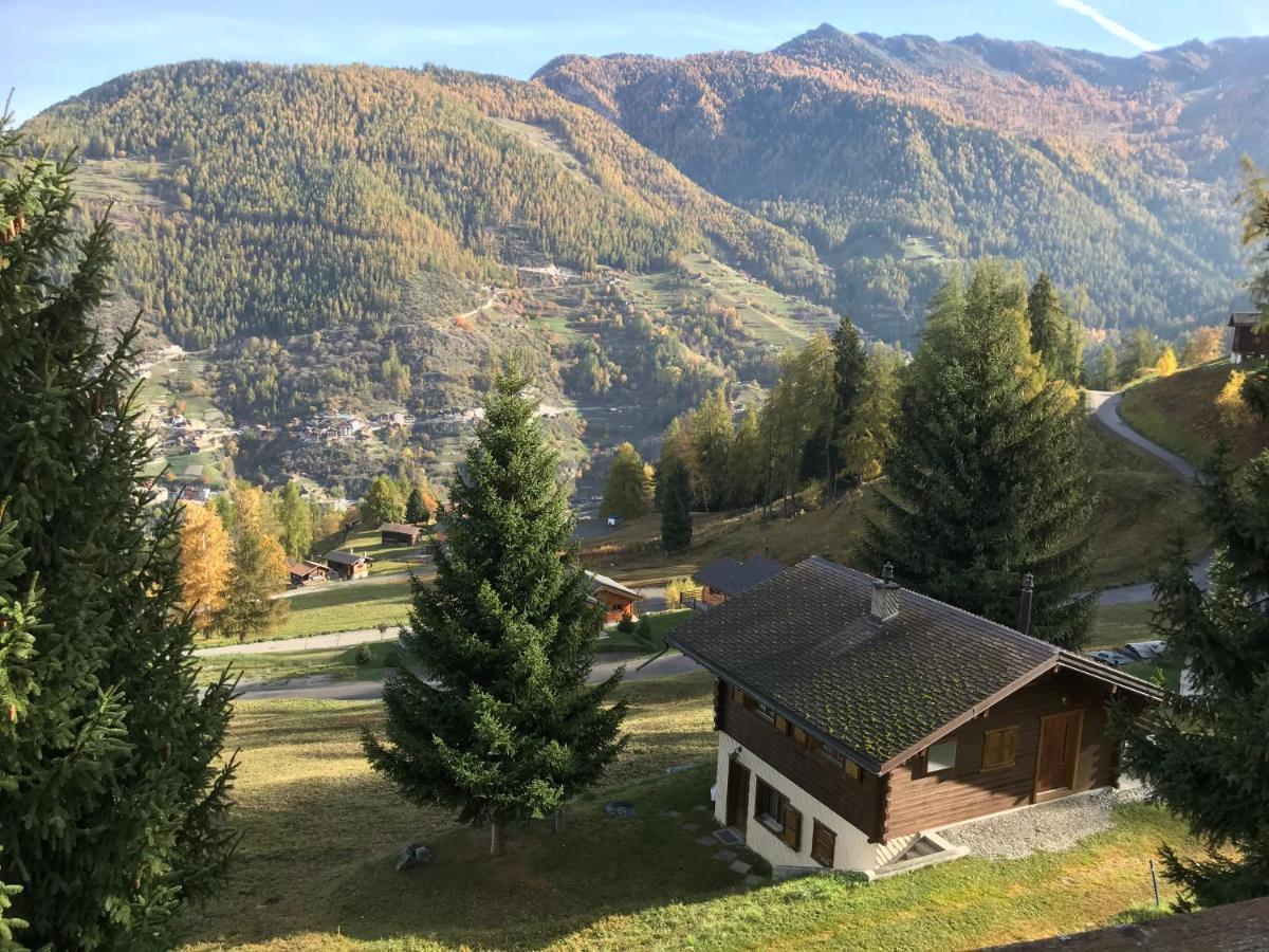 Chalet Lé Fèrtin La Tzoumaz Exterior foto